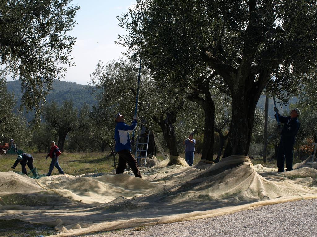 Podere Schioppello Casale Con Appartamenti Privati Cibottola Dış mekan fotoğraf