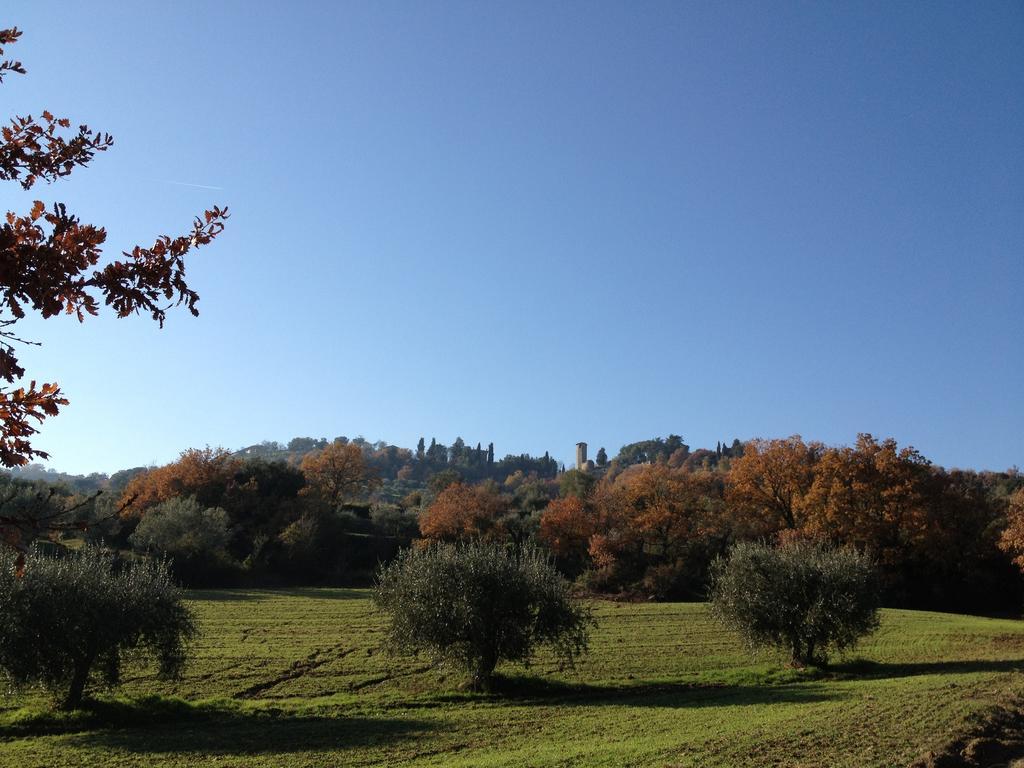Podere Schioppello Casale Con Appartamenti Privati Cibottola Dış mekan fotoğraf