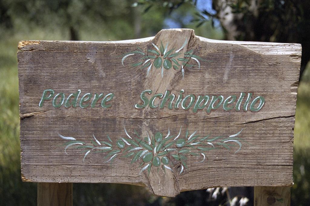 Podere Schioppello Casale Con Appartamenti Privati Cibottola Dış mekan fotoğraf