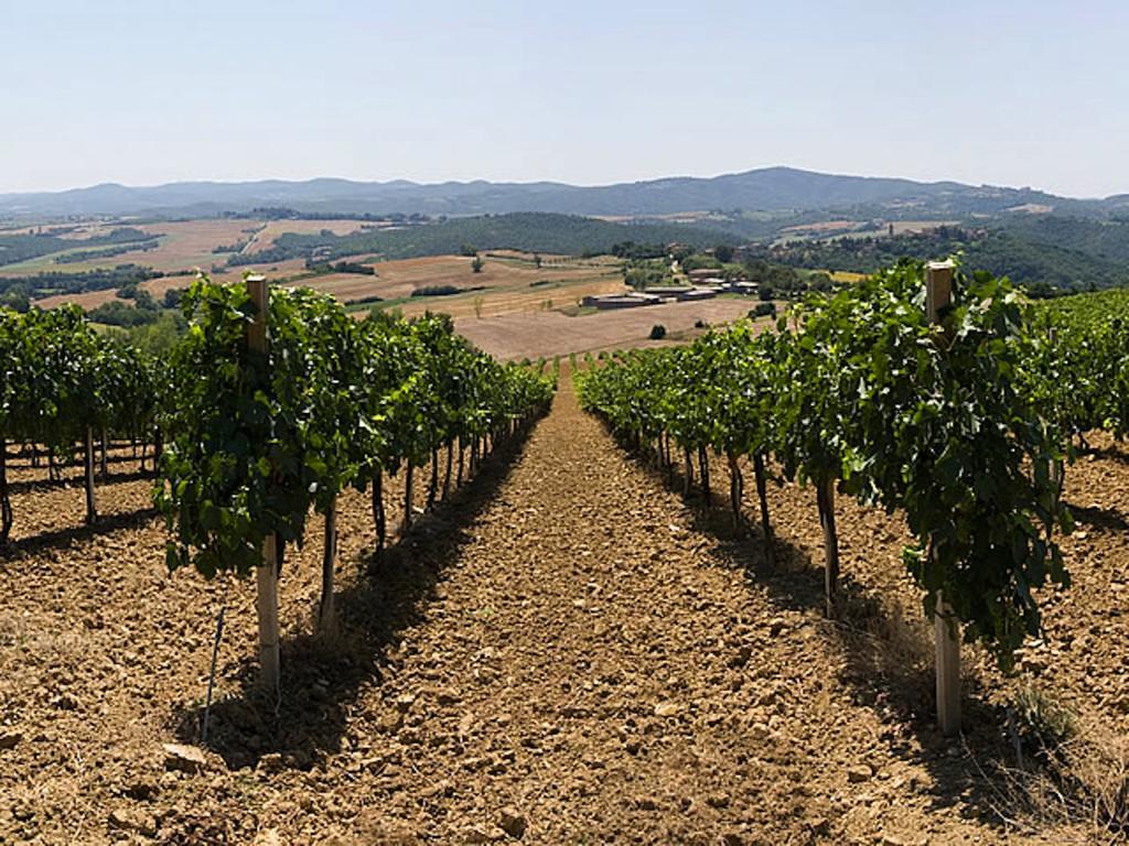 Podere Schioppello Casale Con Appartamenti Privati Cibottola Dış mekan fotoğraf