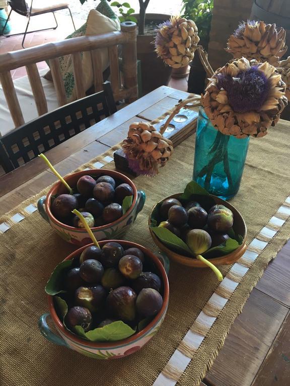 Podere Schioppello Casale Con Appartamenti Privati Cibottola Dış mekan fotoğraf