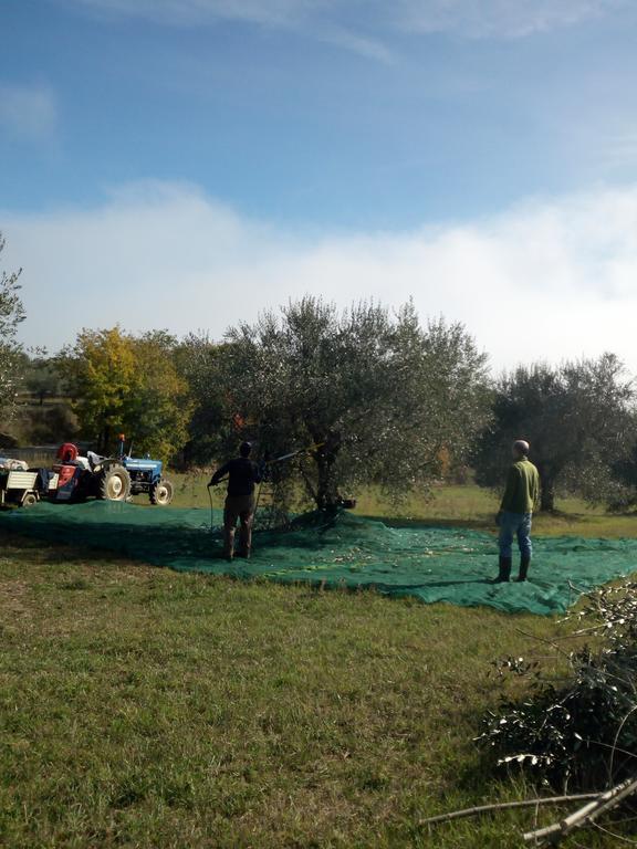 Podere Schioppello Casale Con Appartamenti Privati Cibottola Dış mekan fotoğraf